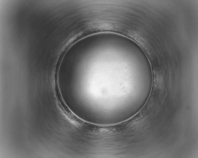 X0000070380390200606091131