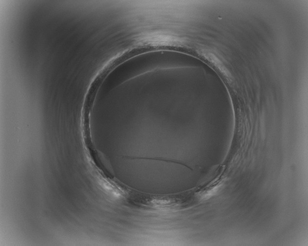 X0000070380391200606091131