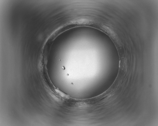 X0000070380392200606091131