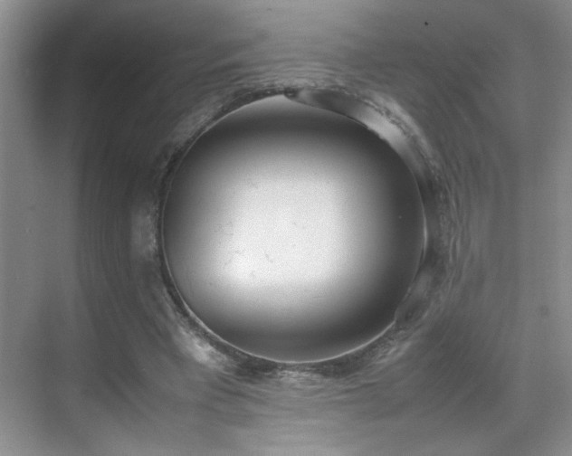 X0000070380393200606091131