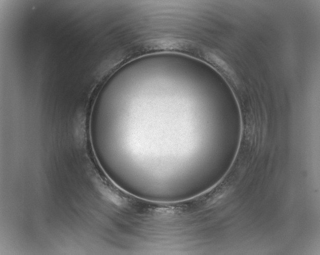 X0000070380394200606091131