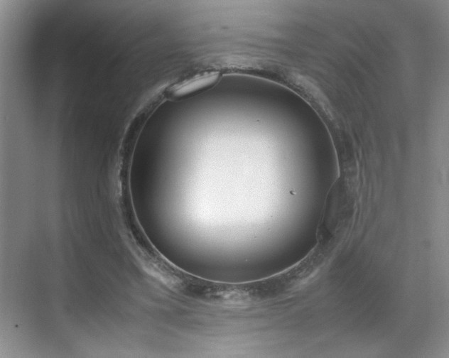 X0000070380395200606091131