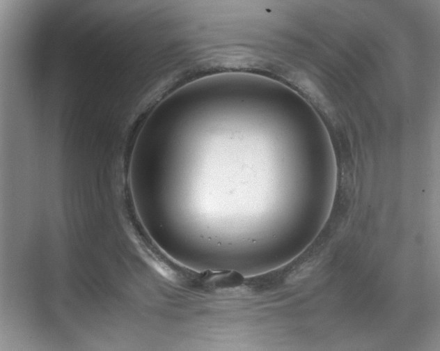 X0000070380397200606091131