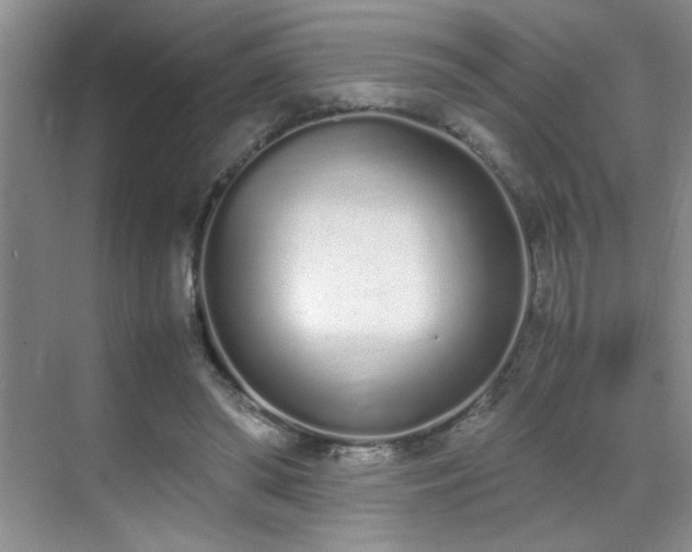 X0000070380398200606091131