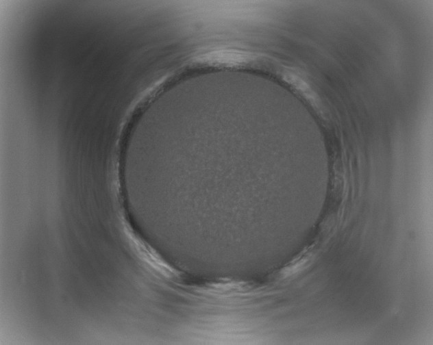 X0000070380399200606091131