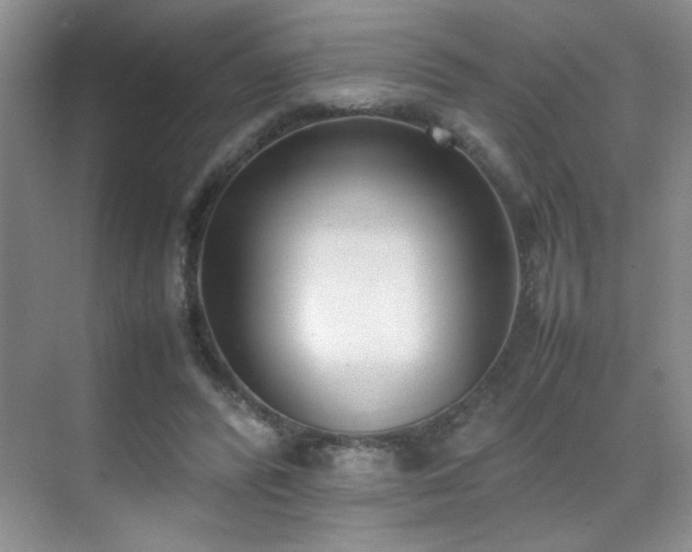 X0000070380400200606091130