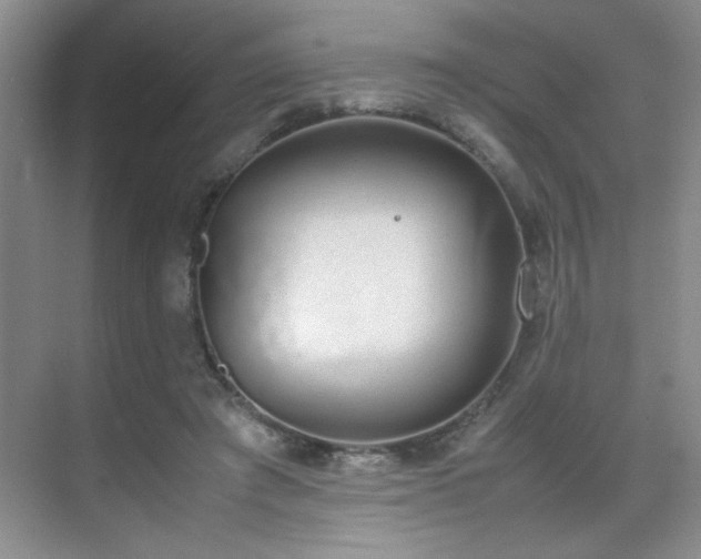 X0000070380401200606091130