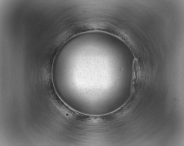 X0000070380402200606091130