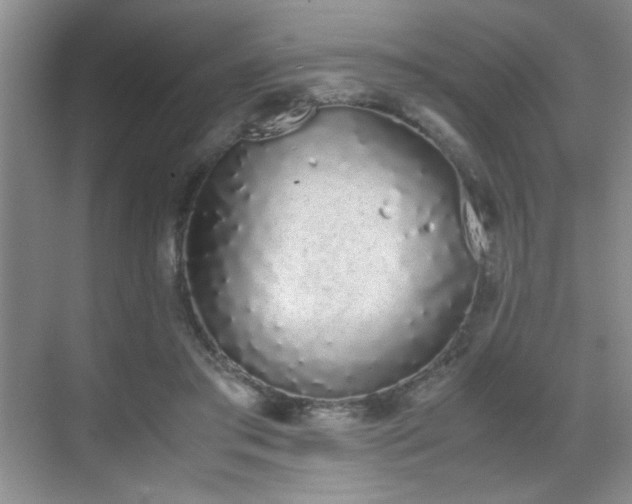 X0000070380405200606091130