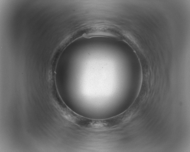 X0000070380407200606091130