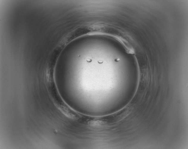 X0000070380408200606091130