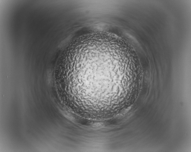 X0000070380409200606091130