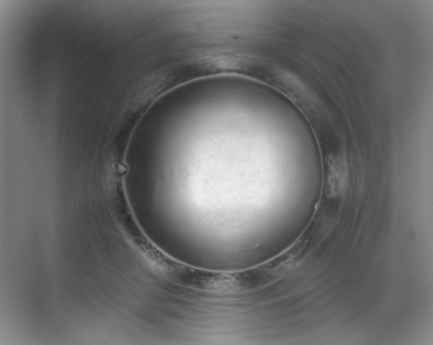 X0000070380410200606091130