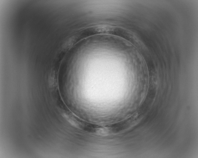 X0000070380411200606091130