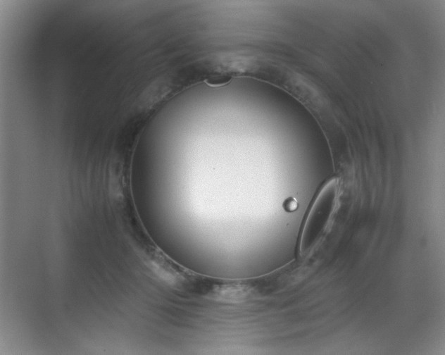 X0000070380414200606091130