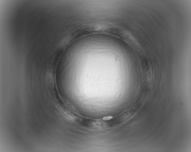 X0000070380415200606091130