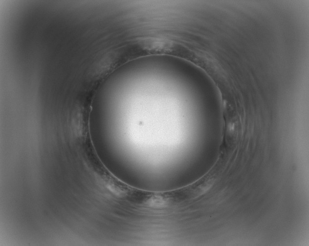 X0000070380416200606091130