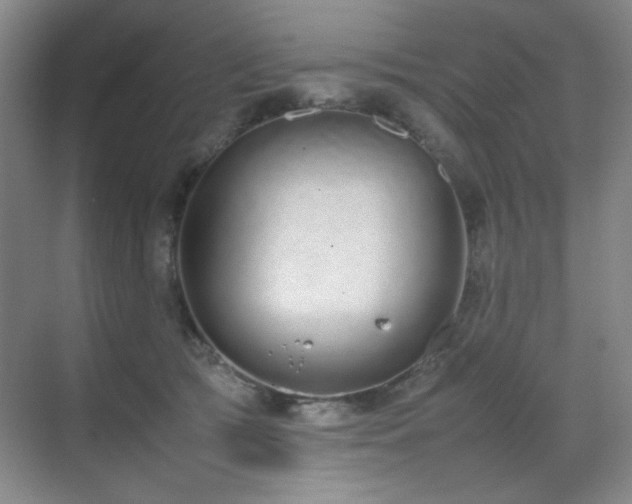 X0000070380417200606091130