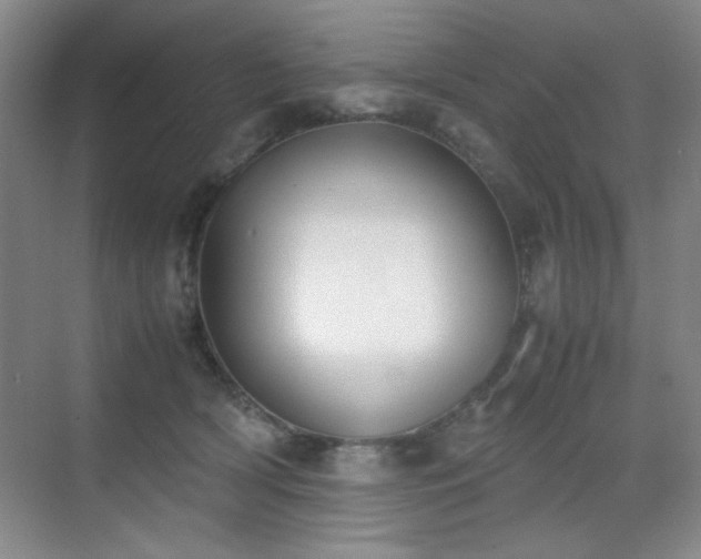 X0000070380418200606091130