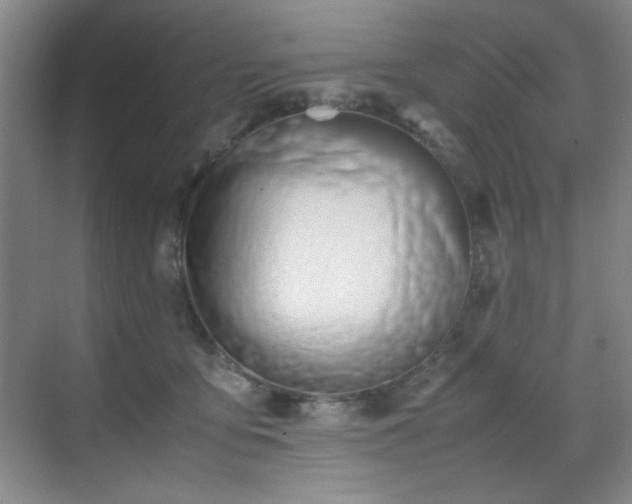 X0000070380419200606091130