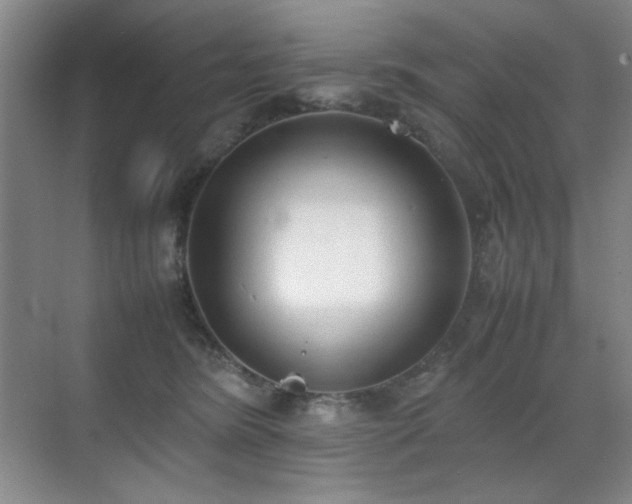 X0000070380420200606091130