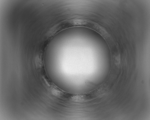 X0000070380422200606091130