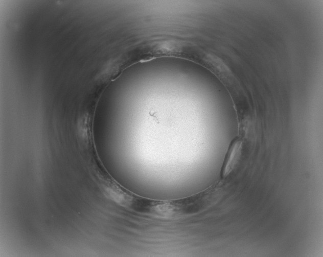 X0000070380423200606091130