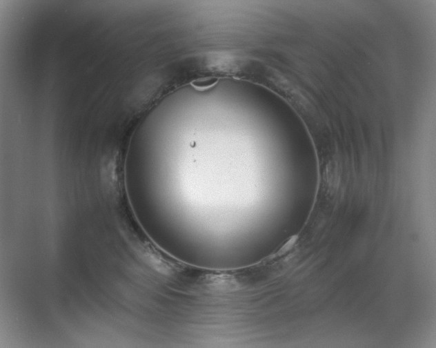 X0000070380424200606091130