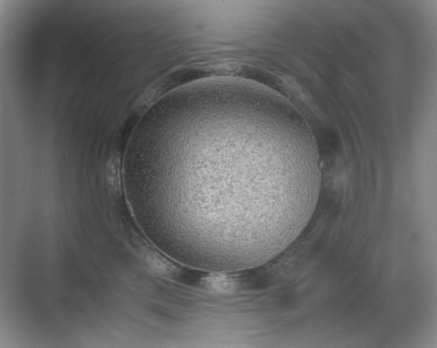 X0000070380425200606091130