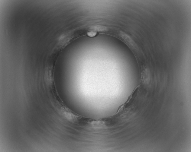 X0000070380426200606091130