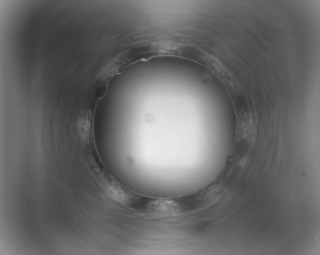 X0000070380427200606091130