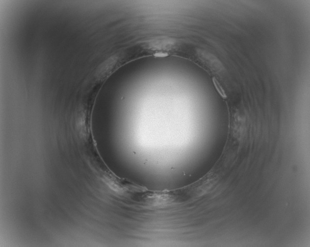 X0000070380428200606091130