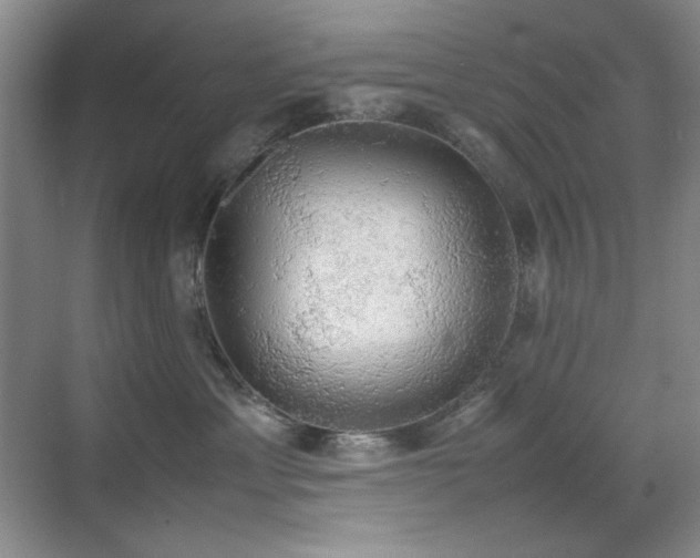 X0000070380429200606091130