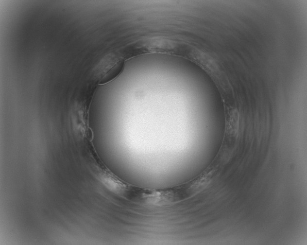 X0000070380430200606091130