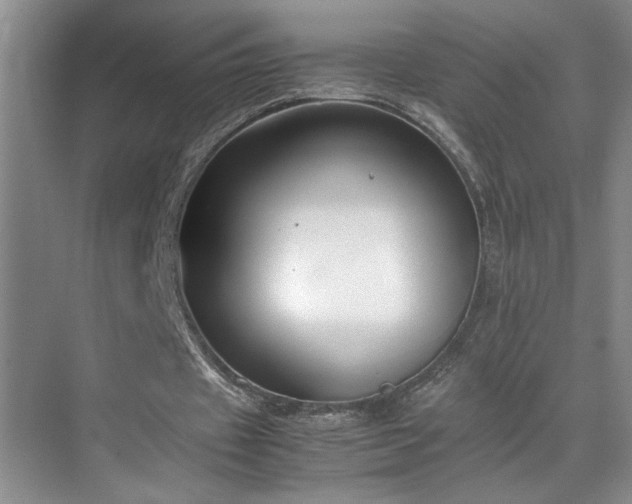 X0000070380433200606091129