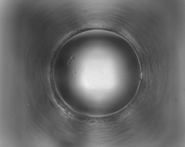 X0000070380434200606091129