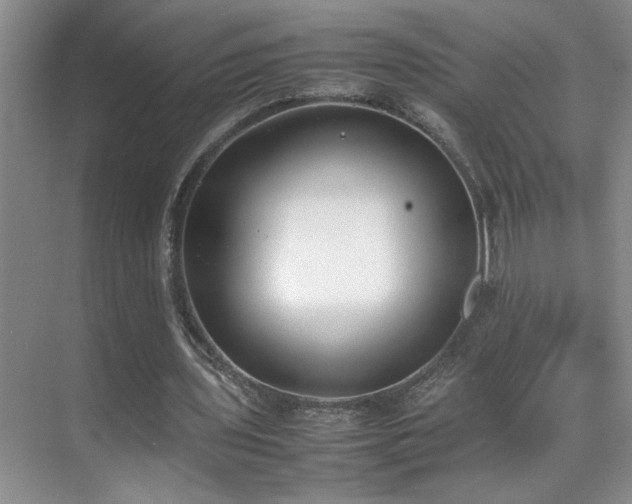 X0000070380435200606091129