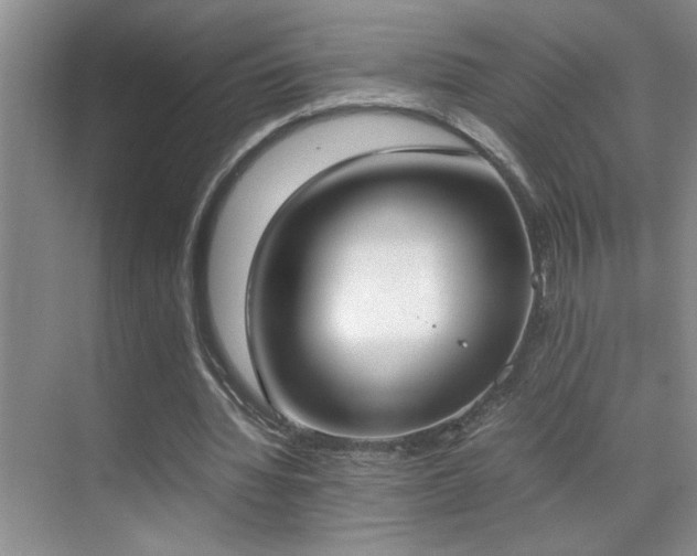 X0000070380436200606091129