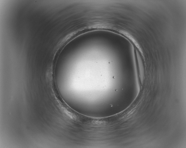 X0000070380437200606091129