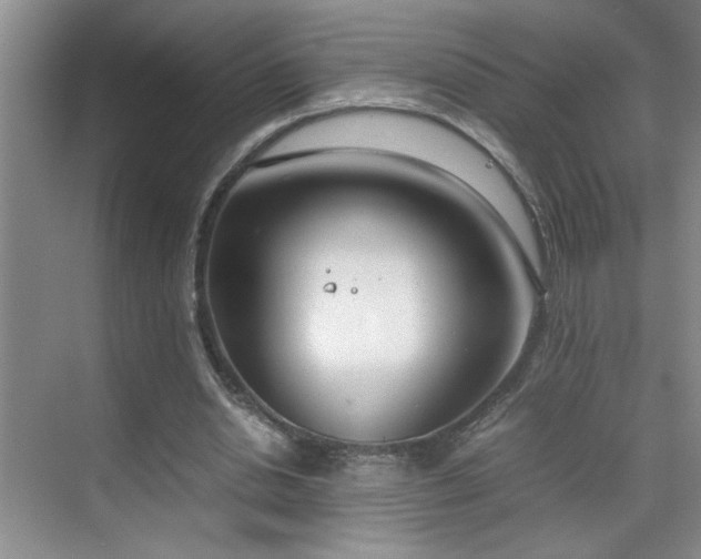 X0000070380438200606091129