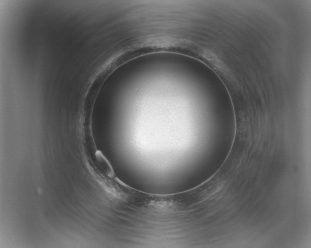 X0000070380440200606091129