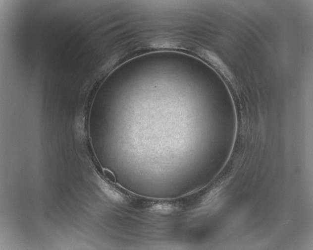 X0000070380441200606091129