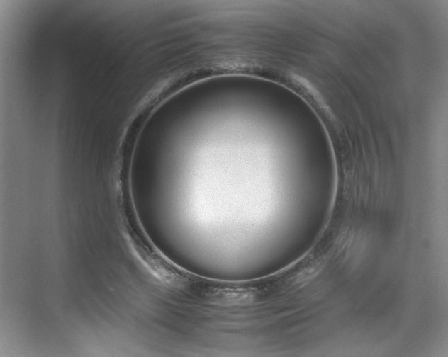 X0000070380443200606091129