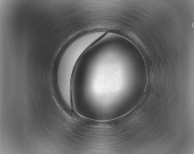 X0000070380444200606091129