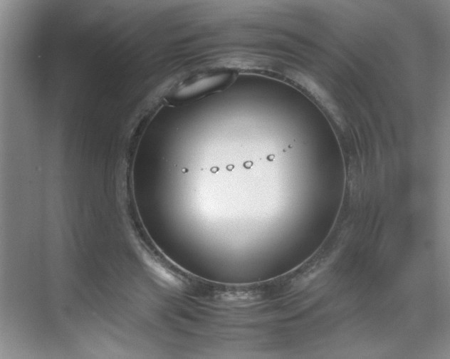 X0000070380445200606091129