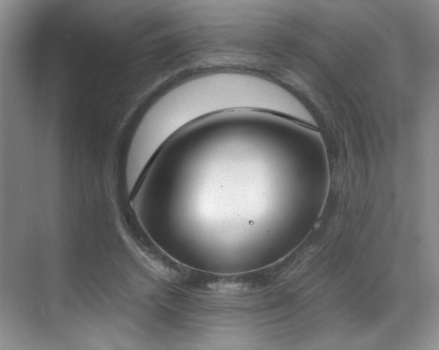 X0000070380448200606091129