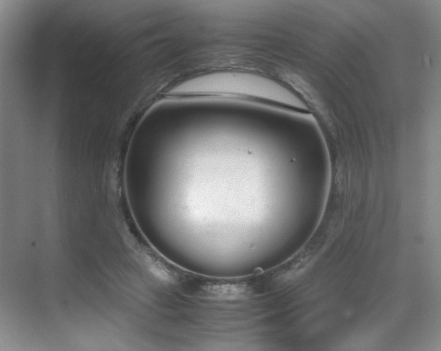 X0000070380449200606091129