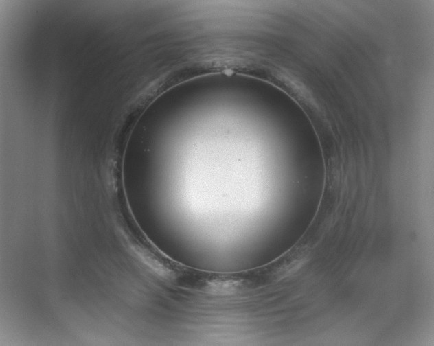 X0000070380450200606091129