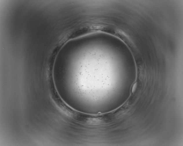 X0000070380451200606091129