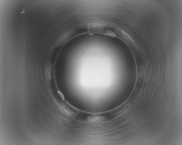 X0000070380452200606091129